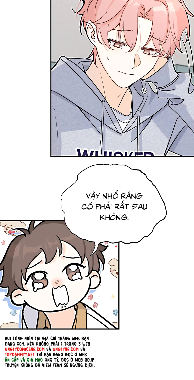 Hổ Ngửi Hoa Tường Vi Chapter 8 - 5