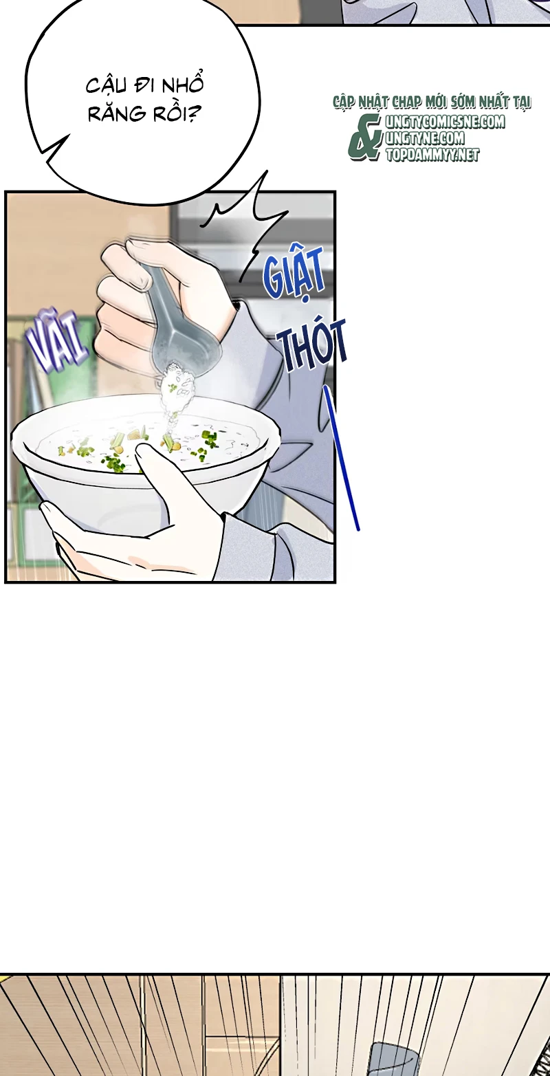 Hổ Ngửi Hoa Tường Vi Chapter 8 - 16