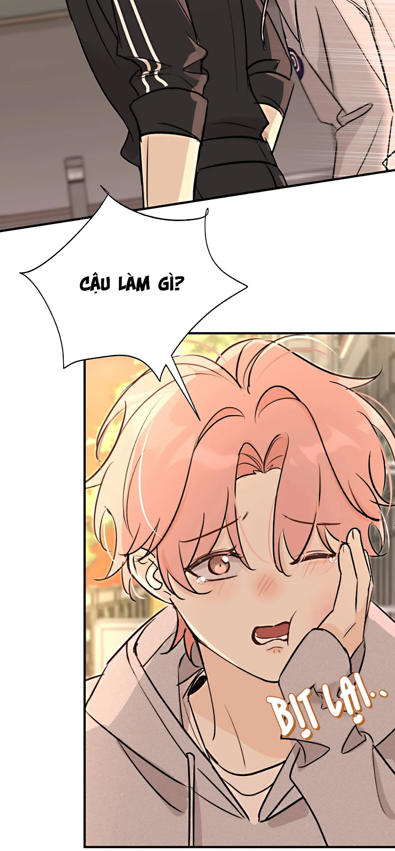 Hổ Ngửi Hoa Tường Vi Chapter 8 - 25