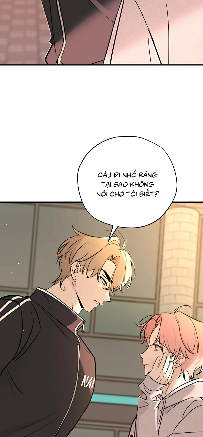 Hổ Ngửi Hoa Tường Vi Chapter 8 - 27