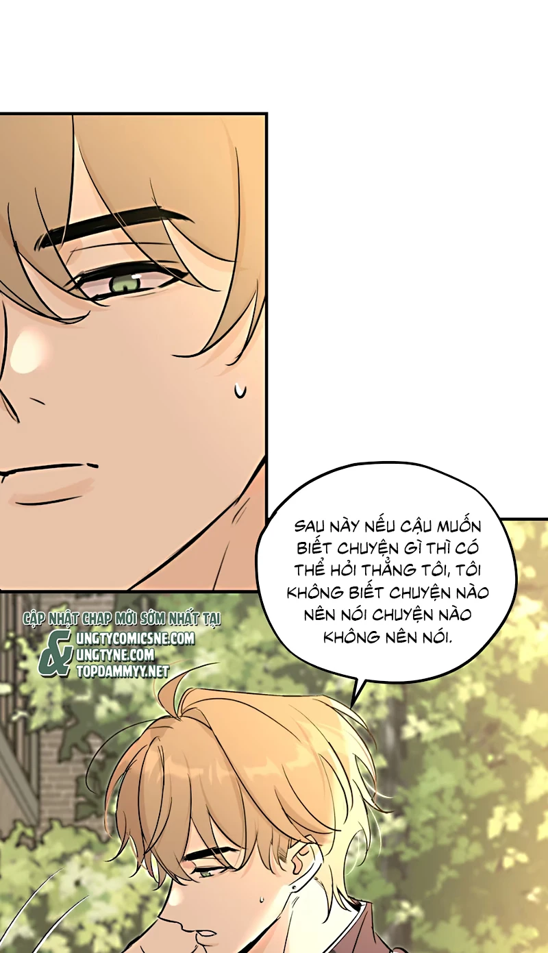 Hổ Ngửi Hoa Tường Vi Chapter 8 - 33