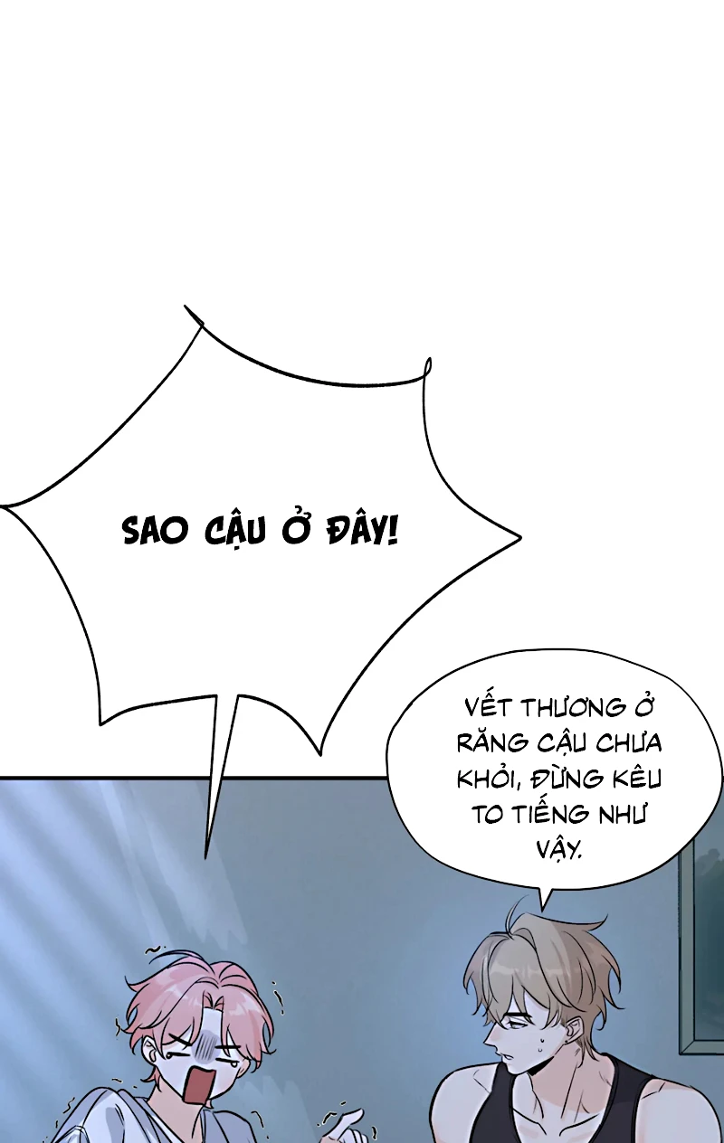 Hổ Ngửi Hoa Tường Vi Chapter 9 - 27