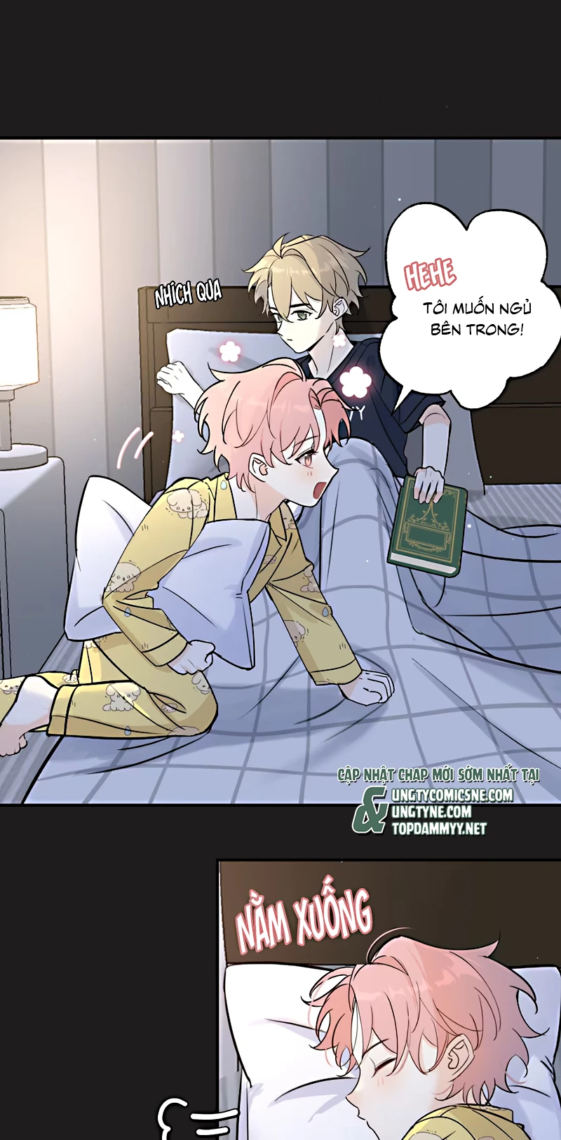 Hổ Ngửi Hoa Tường Vi Chapter 10 - 6