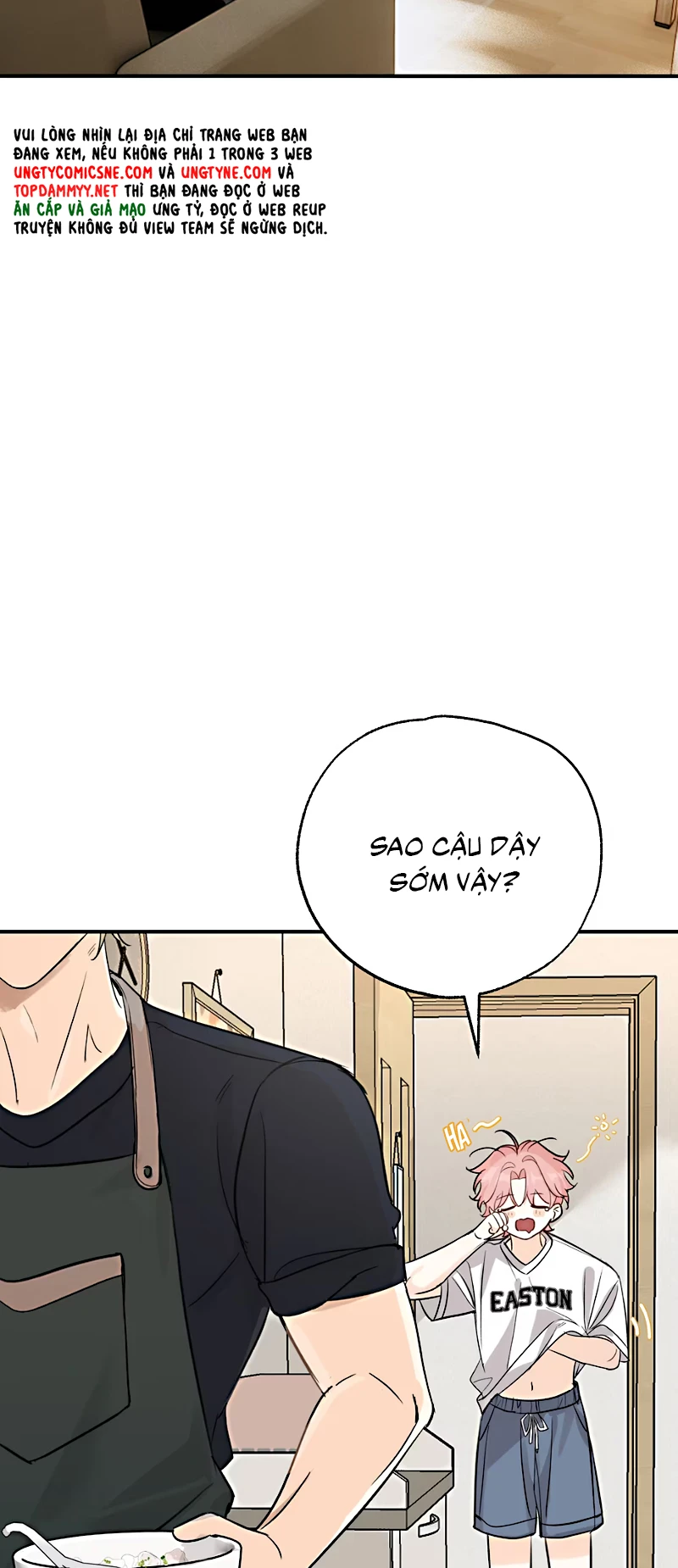 Hổ Ngửi Hoa Tường Vi Chapter 10 - 23