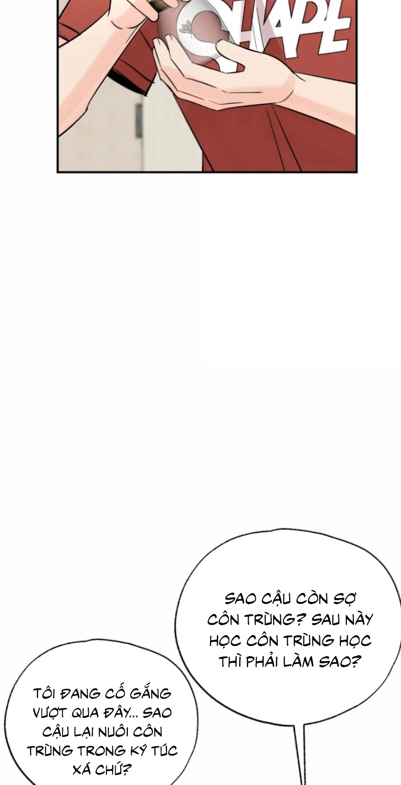 Hổ Ngửi Hoa Tường Vi Chapter 16 - 9