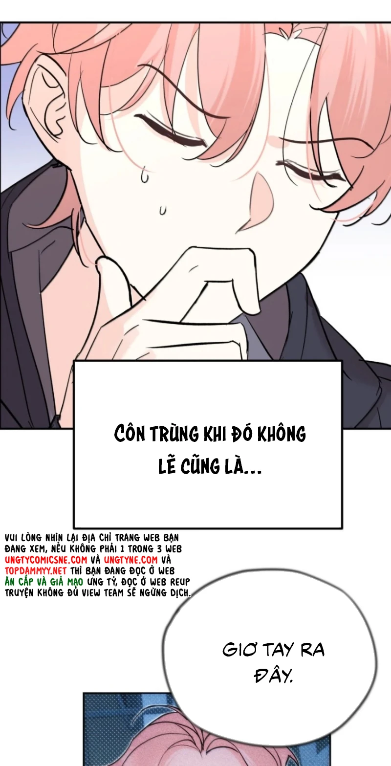Hổ Ngửi Hoa Tường Vi Chapter 16 - 14