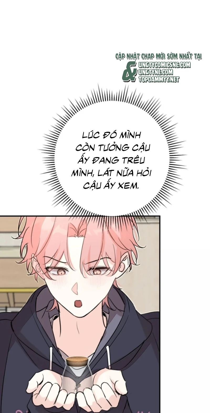 Hổ Ngửi Hoa Tường Vi Chapter 16 - 16
