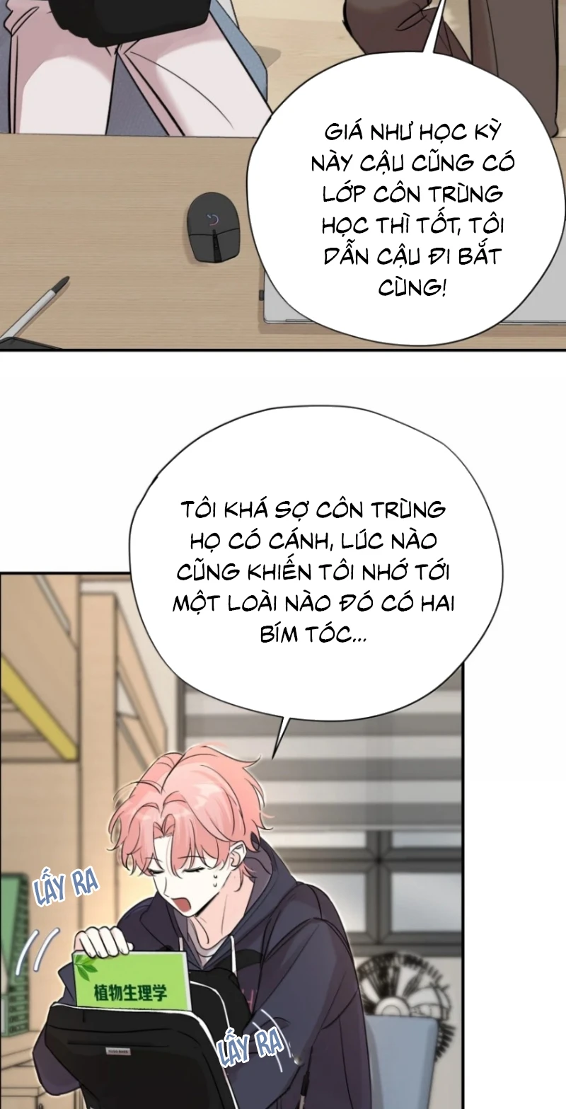 Hổ Ngửi Hoa Tường Vi Chapter 16 - 19