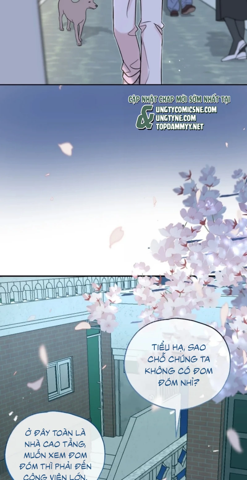 Hổ Ngửi Hoa Tường Vi Chapter 16 - 33