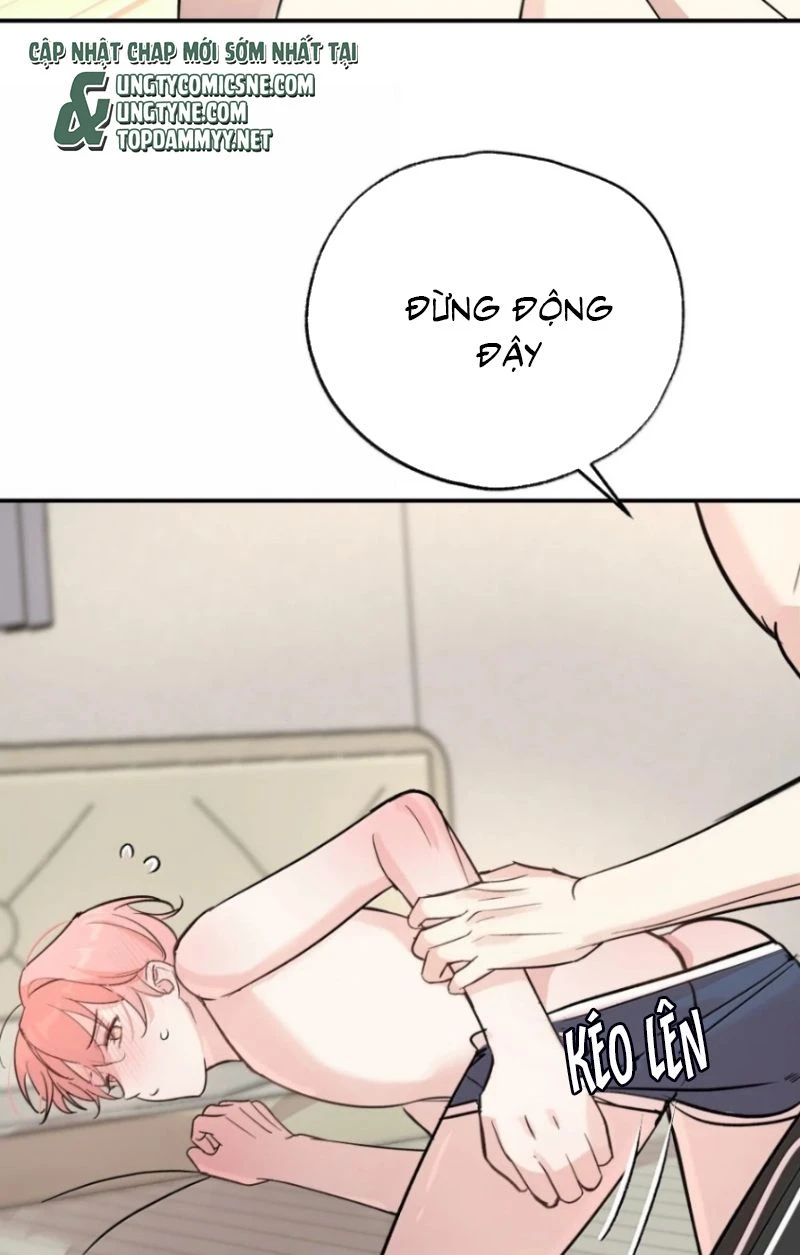 Hổ Ngửi Hoa Tường Vi Chapter 20 - 30