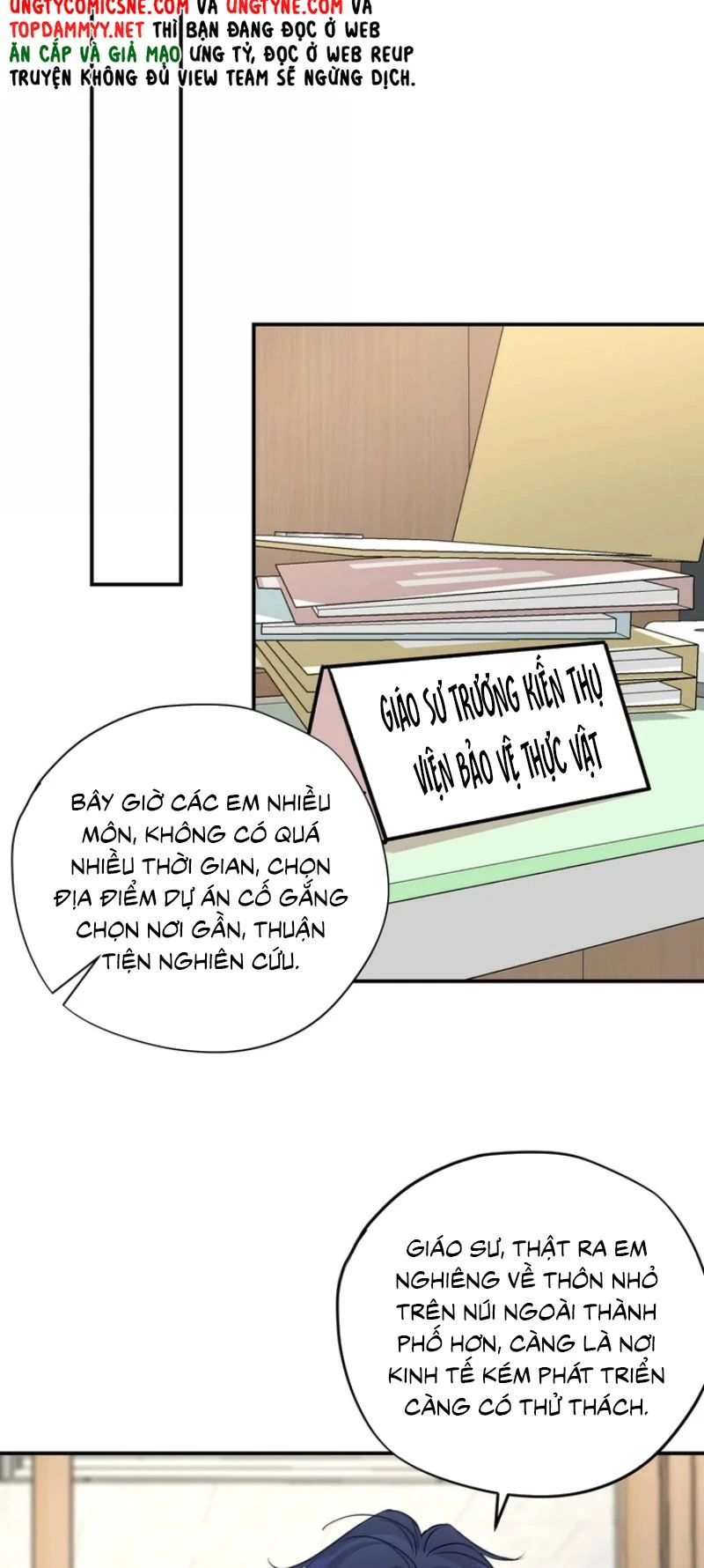 Hổ Ngửi Hoa Tường Vi Chapter 21 - 17