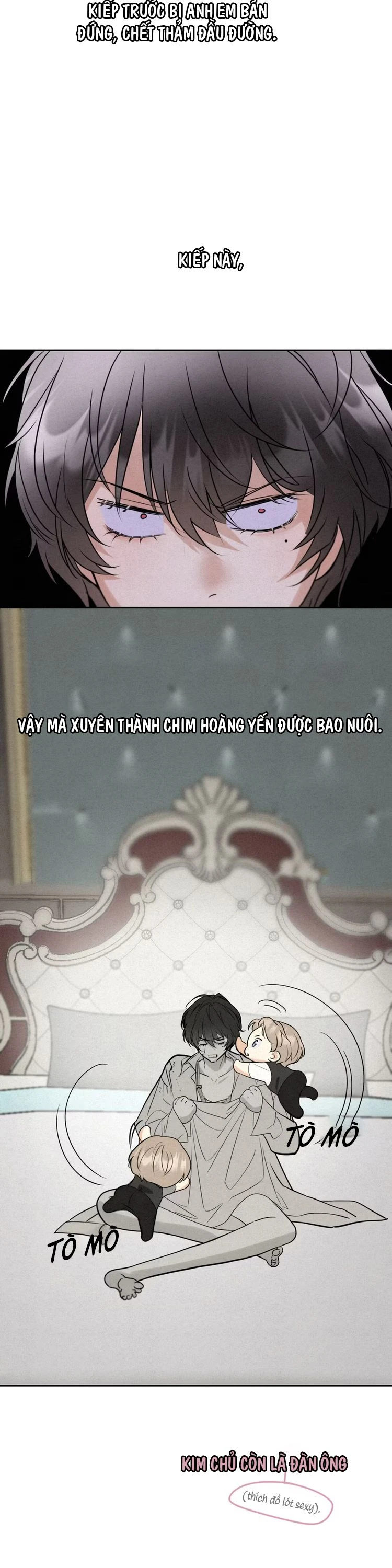 Xuyên Thành Con Ngỗng Vàng Của Đại Lão Alpha Chapter 2 - 2