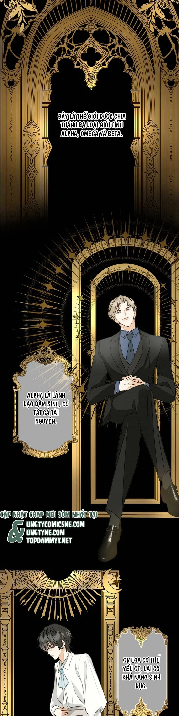 Xuyên Thành Con Ngỗng Vàng Của Đại Lão Alpha Chapter 2 - 11