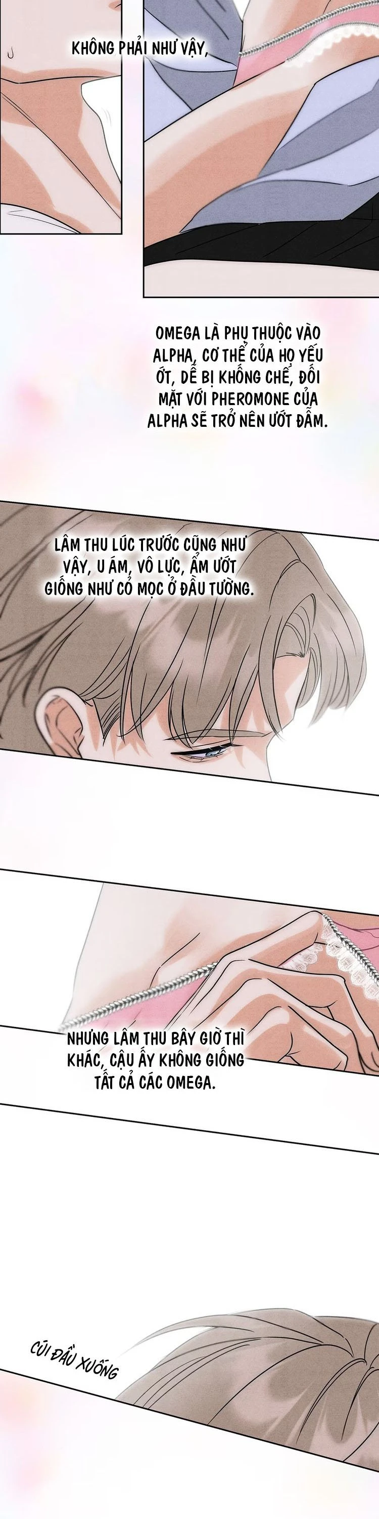 Xuyên Thành Con Ngỗng Vàng Của Đại Lão Alpha Chapter 3 - 19