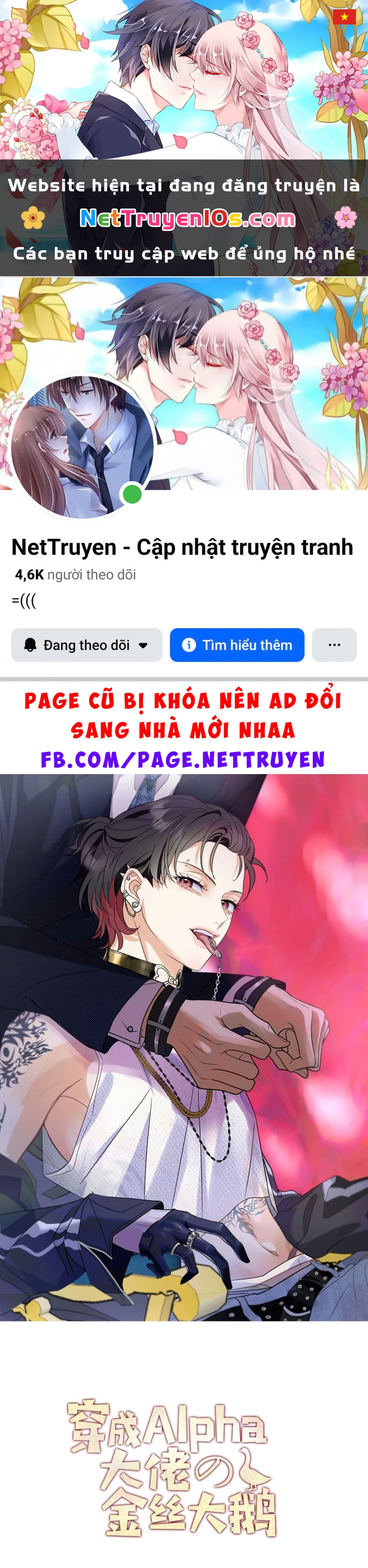 Xuyên Thành Con Ngỗng Vàng Của Đại Lão Alpha Chapter 4 - 1