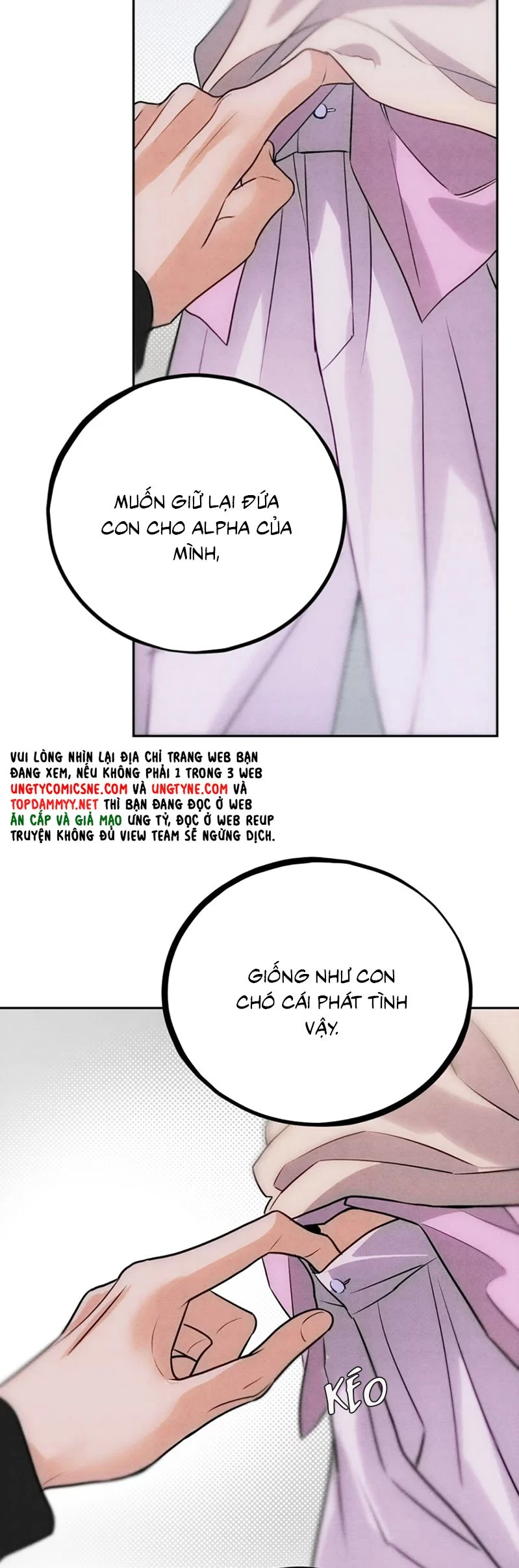 Xuyên Thành Con Ngỗng Vàng Của Đại Lão Alpha Chapter 7 - 15