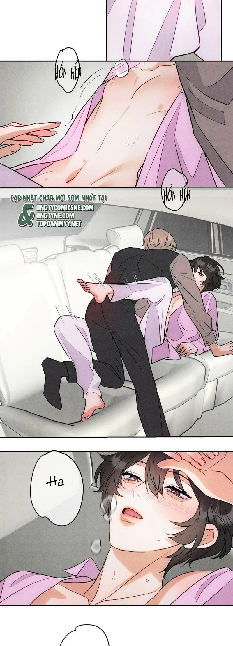 Xuyên Thành Con Ngỗng Vàng Của Đại Lão Alpha Chapter 11 - 9