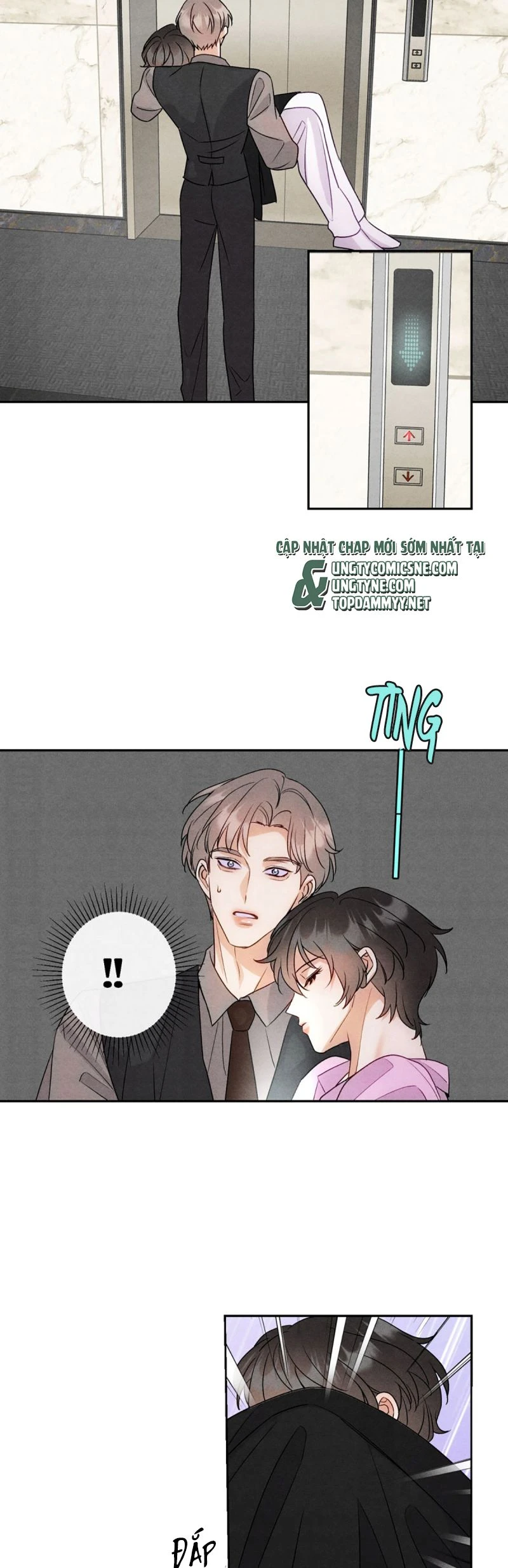 Xuyên Thành Con Ngỗng Vàng Của Đại Lão Alpha Chapter 12 - 18