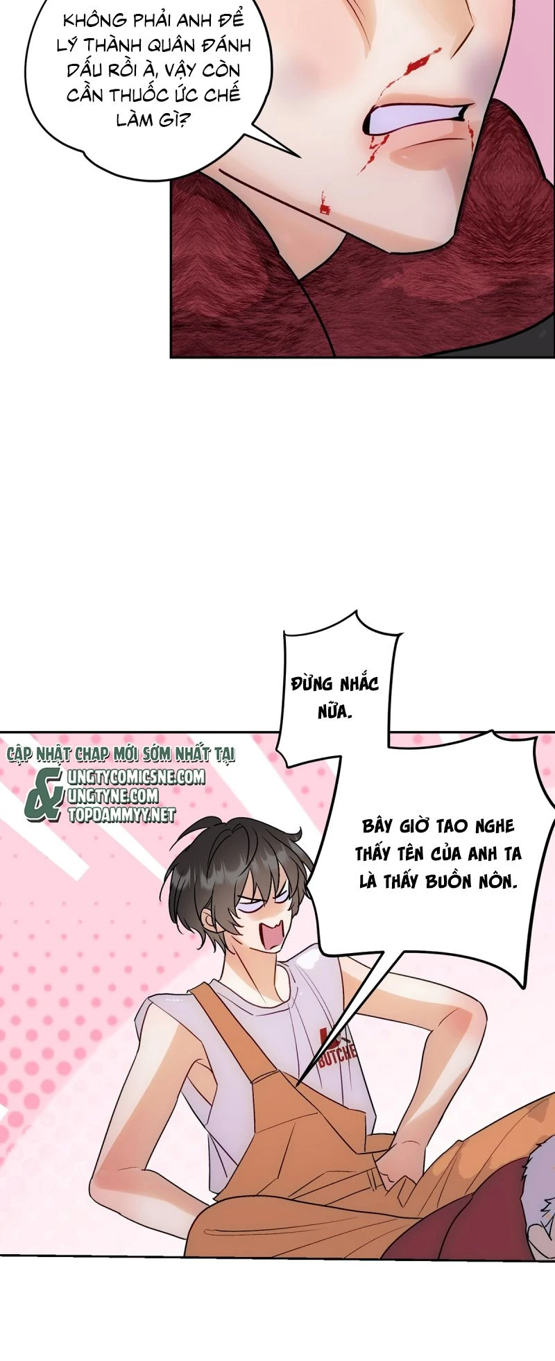 Xuyên Thành Con Ngỗng Vàng Của Đại Lão Alpha Chapter 16 - 31