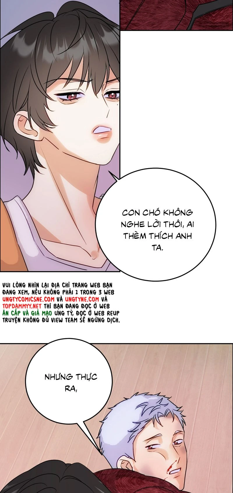 Xuyên Thành Con Ngỗng Vàng Của Đại Lão Alpha Chapter 16 - 33
