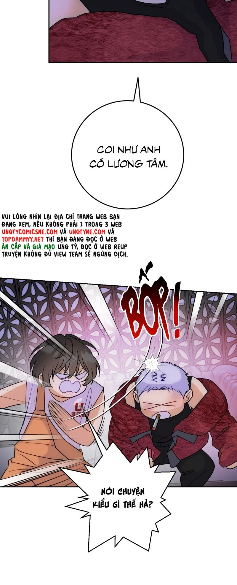 Xuyên Thành Con Ngỗng Vàng Của Đại Lão Alpha Chapter 17 - 8