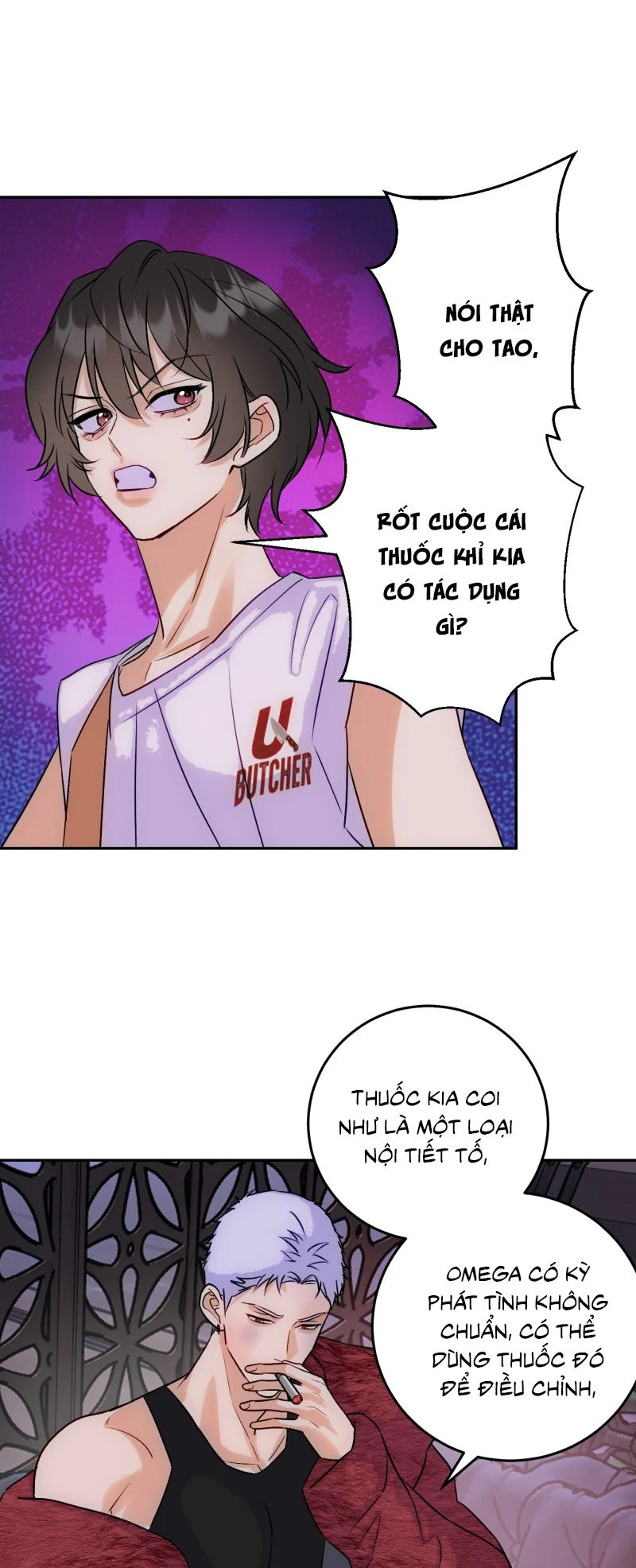 Xuyên Thành Con Ngỗng Vàng Của Đại Lão Alpha Chapter 17 - 9