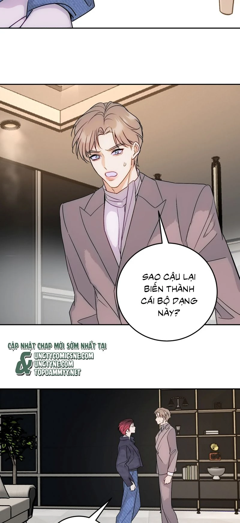 Xuyên Thành Con Ngỗng Vàng Của Đại Lão Alpha Chapter 19 - 37