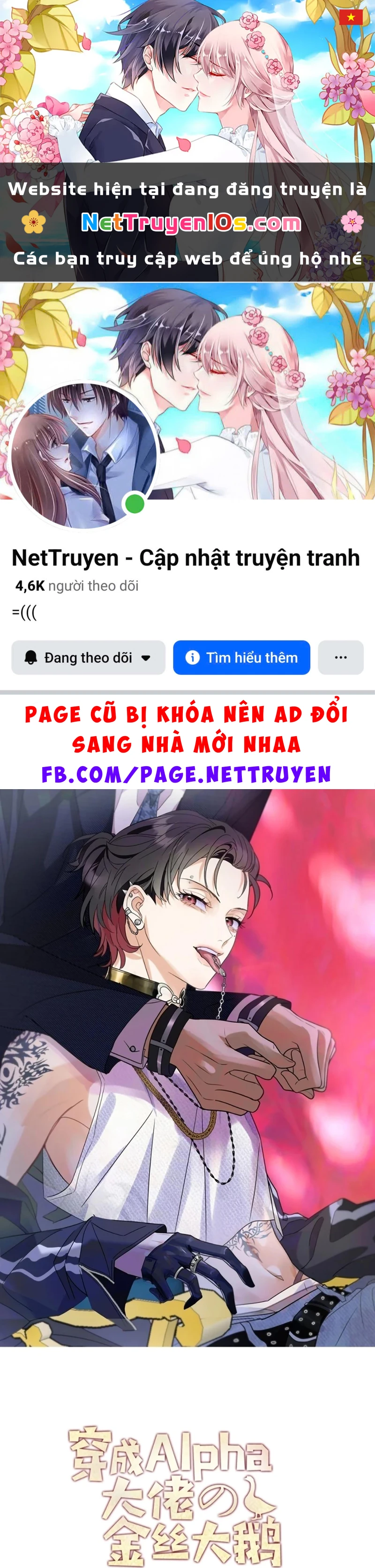 Xuyên Thành Con Ngỗng Vàng Của Đại Lão Alpha Chapter 22 - 1