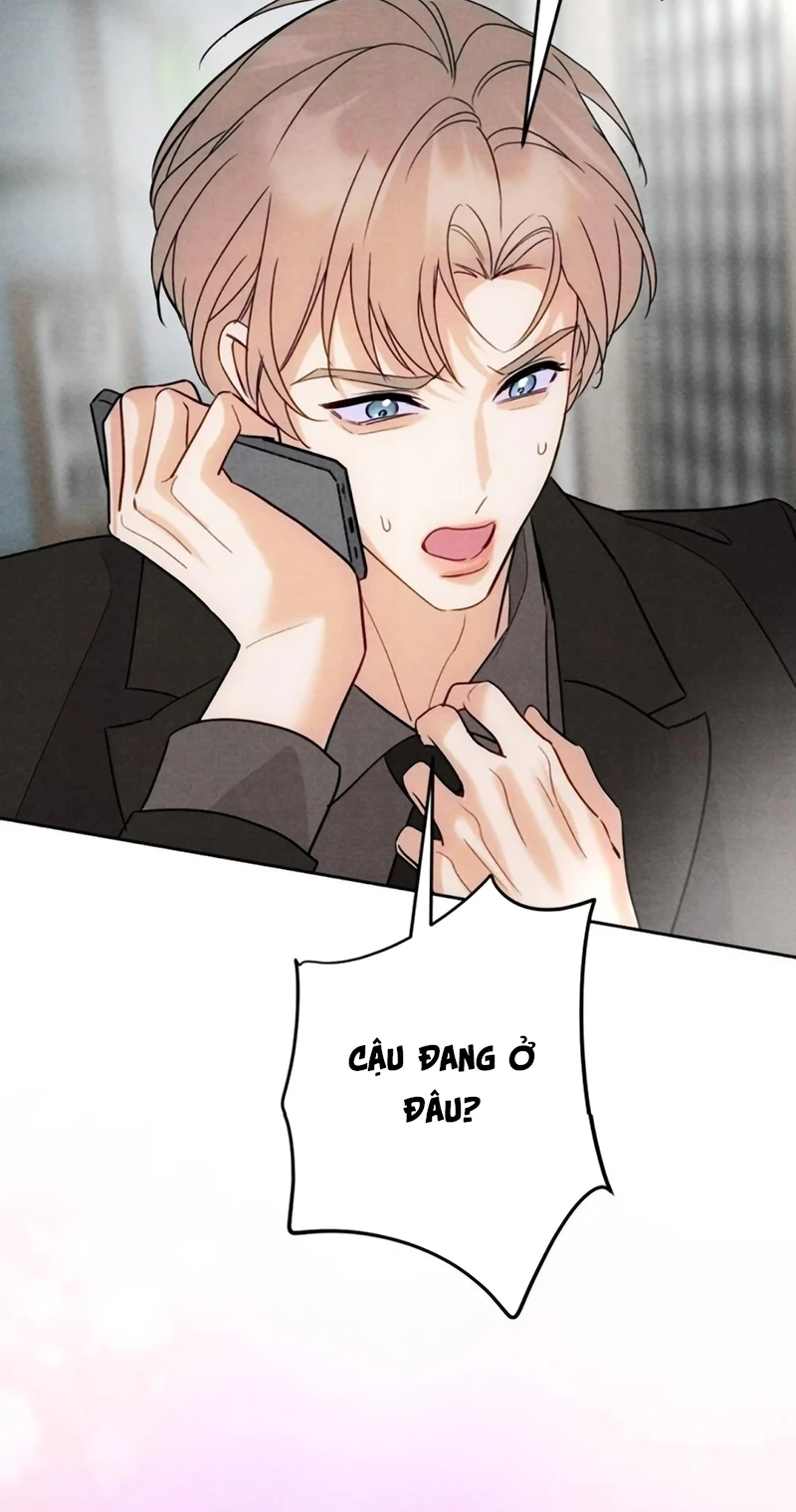Xuyên Thành Con Ngỗng Vàng Của Đại Lão Alpha Chapter 22 - 13
