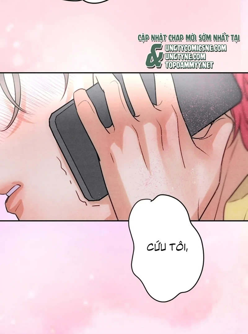 Xuyên Thành Con Ngỗng Vàng Của Đại Lão Alpha Chapter 22 - 17