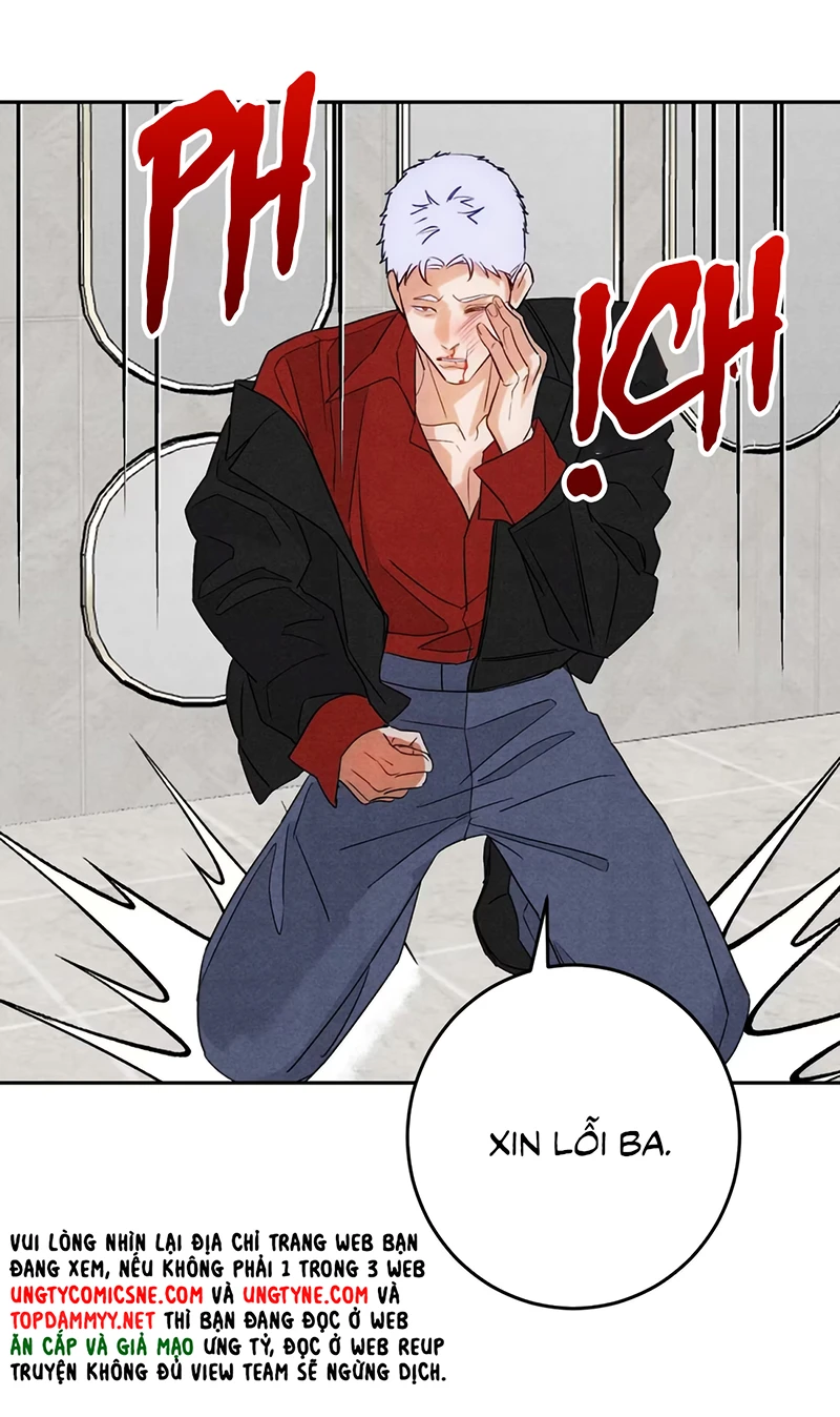 Xuyên Thành Con Ngỗng Vàng Của Đại Lão Alpha Chapter 25 - 6