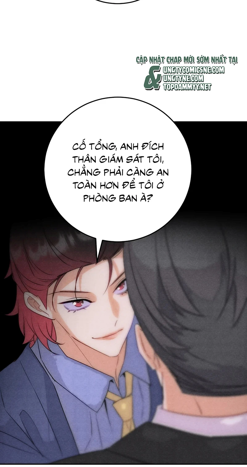Xuyên Thành Con Ngỗng Vàng Của Đại Lão Alpha Chapter 28 - 34