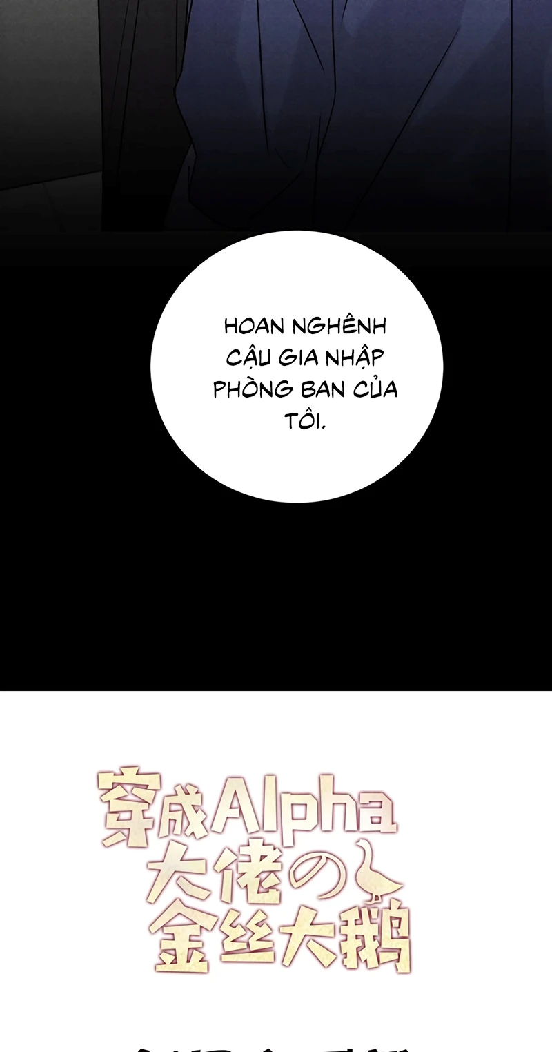 Xuyên Thành Con Ngỗng Vàng Của Đại Lão Alpha Chapter 28 - 39