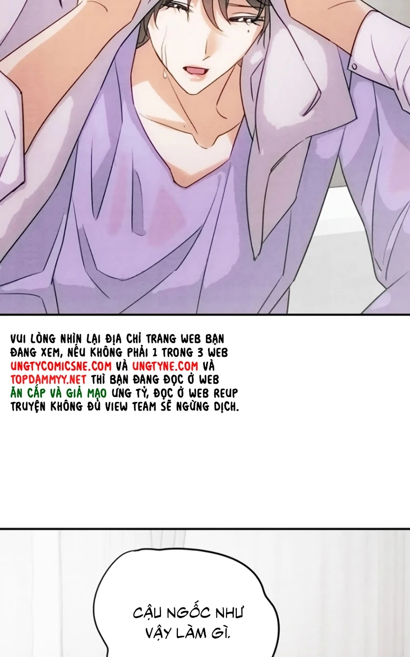 Xuyên Thành Con Ngỗng Vàng Của Đại Lão Alpha Chapter 39 - 28