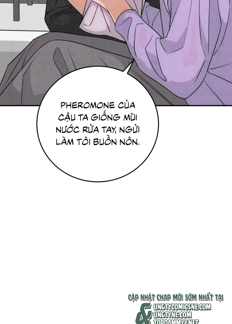 Xuyên Thành Con Ngỗng Vàng Của Đại Lão Alpha Chapter 39 - 31