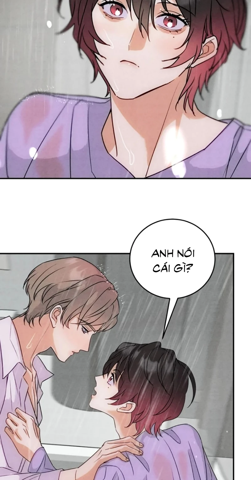 Xuyên Thành Con Ngỗng Vàng Của Đại Lão Alpha Chapter 40 - 21
