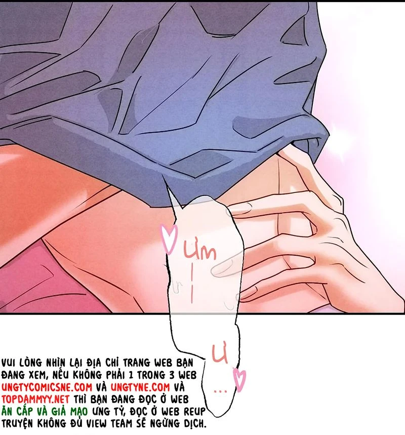 Xuyên Thành Con Ngỗng Vàng Của Đại Lão Alpha Chapter 47 - 34