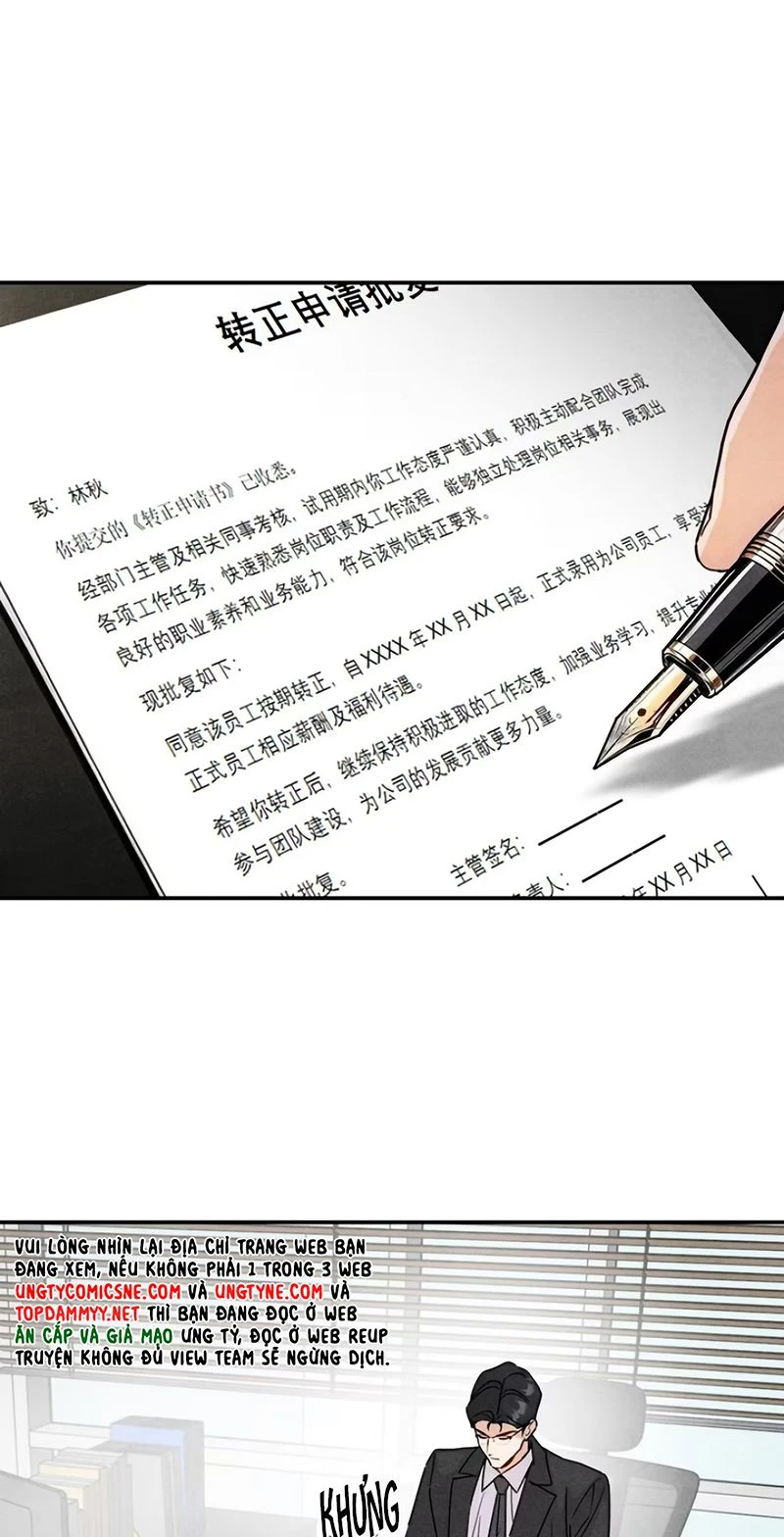 Xuyên Thành Con Ngỗng Vàng Của Đại Lão Alpha Chapter 48 - 3