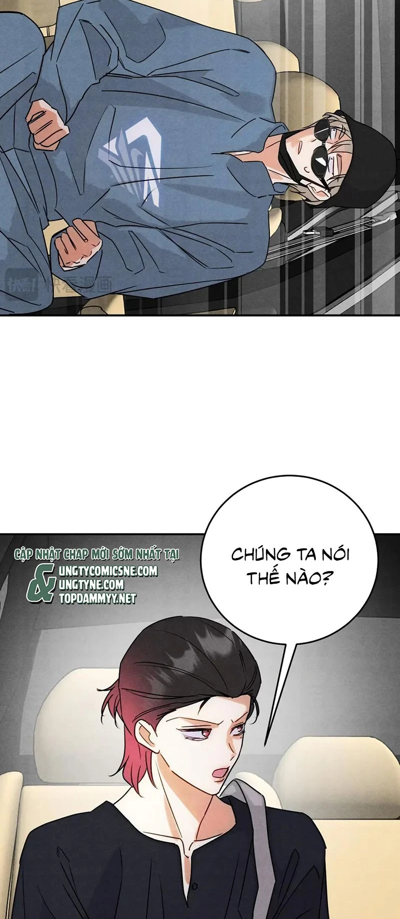 Xuyên Thành Con Ngỗng Vàng Của Đại Lão Alpha Chapter 51 - 12