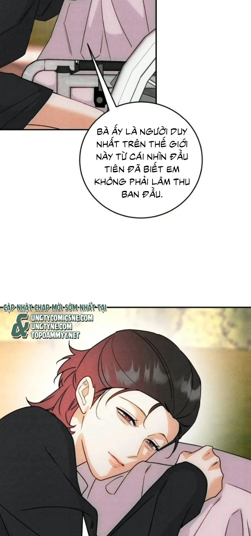 Xuyên Thành Con Ngỗng Vàng Của Đại Lão Alpha Chapter 52 - 10