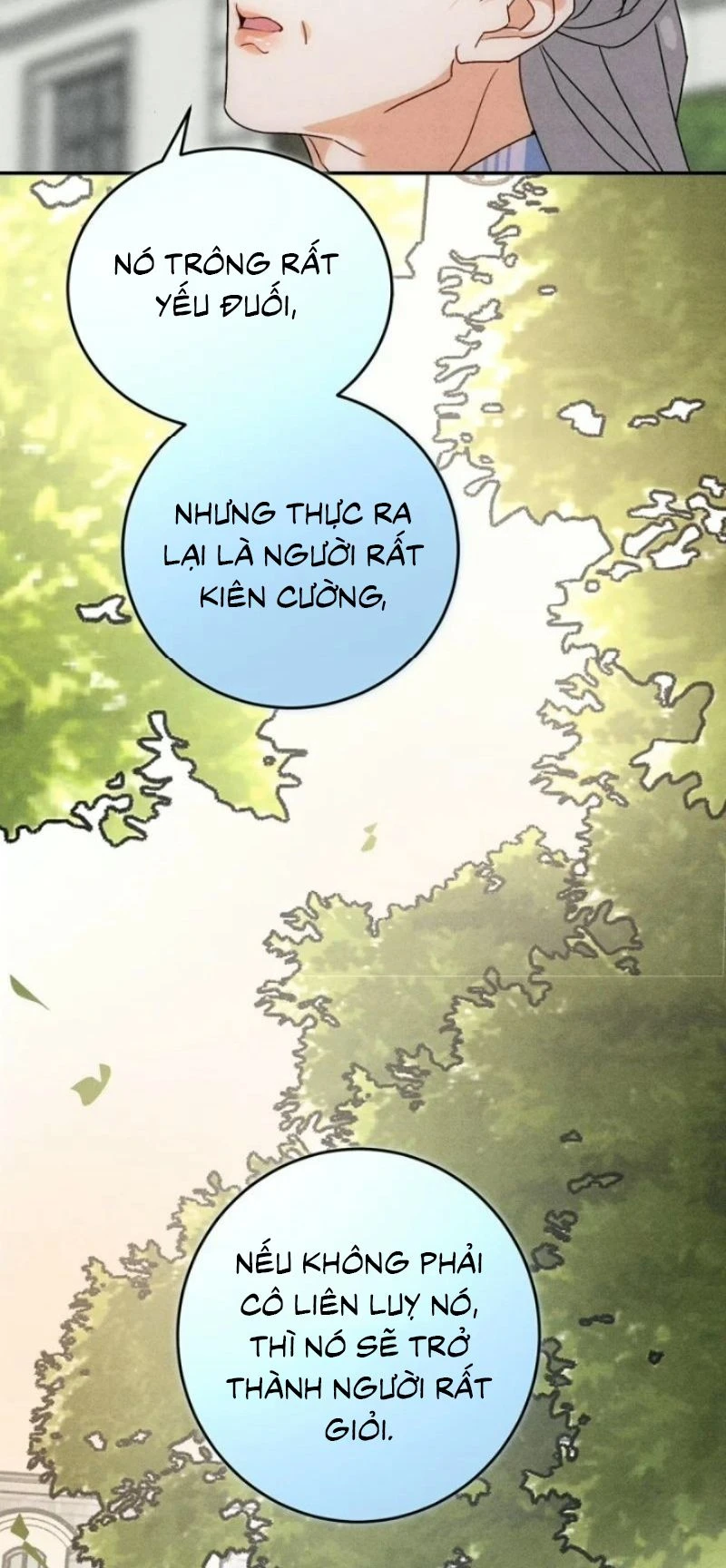 Xuyên Thành Con Ngỗng Vàng Của Đại Lão Alpha Chapter 52 - 31