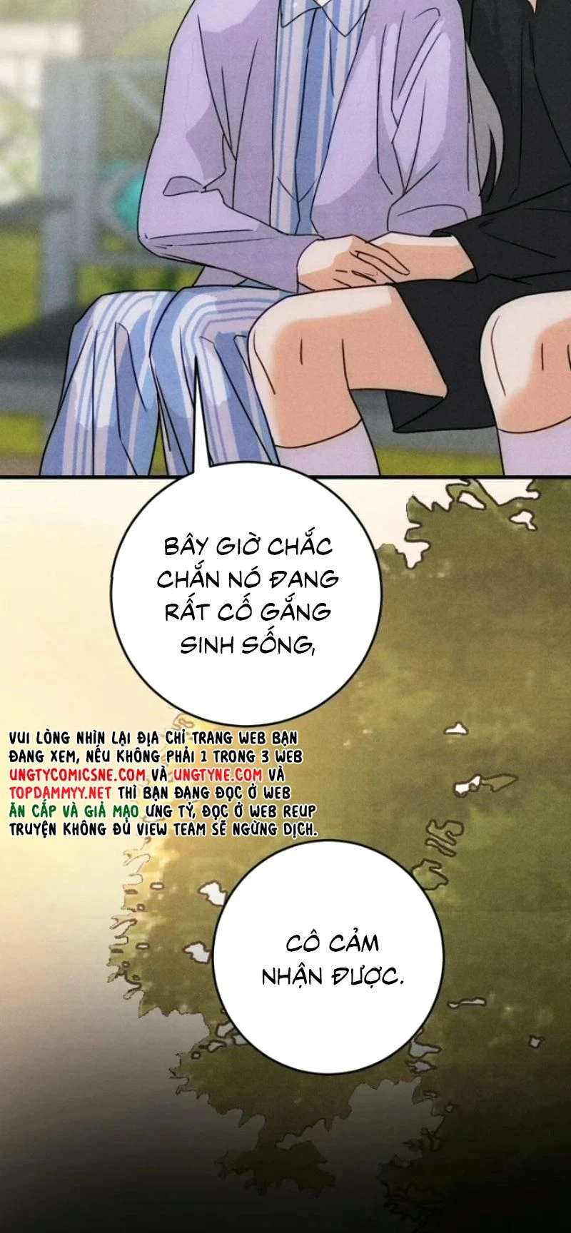 Xuyên Thành Con Ngỗng Vàng Của Đại Lão Alpha Chapter 52 - 34