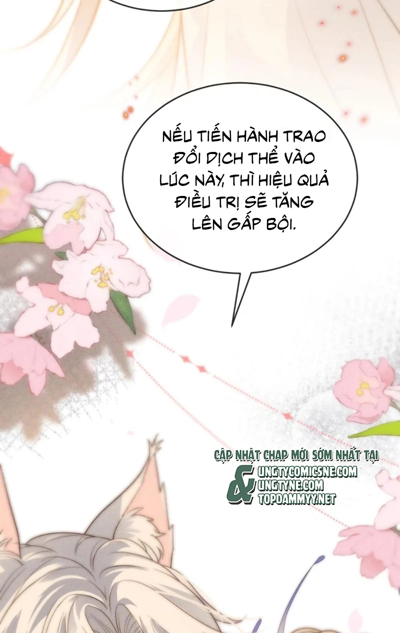Chỉ Dẫn Săn Mồi Chapter 11 - 40
