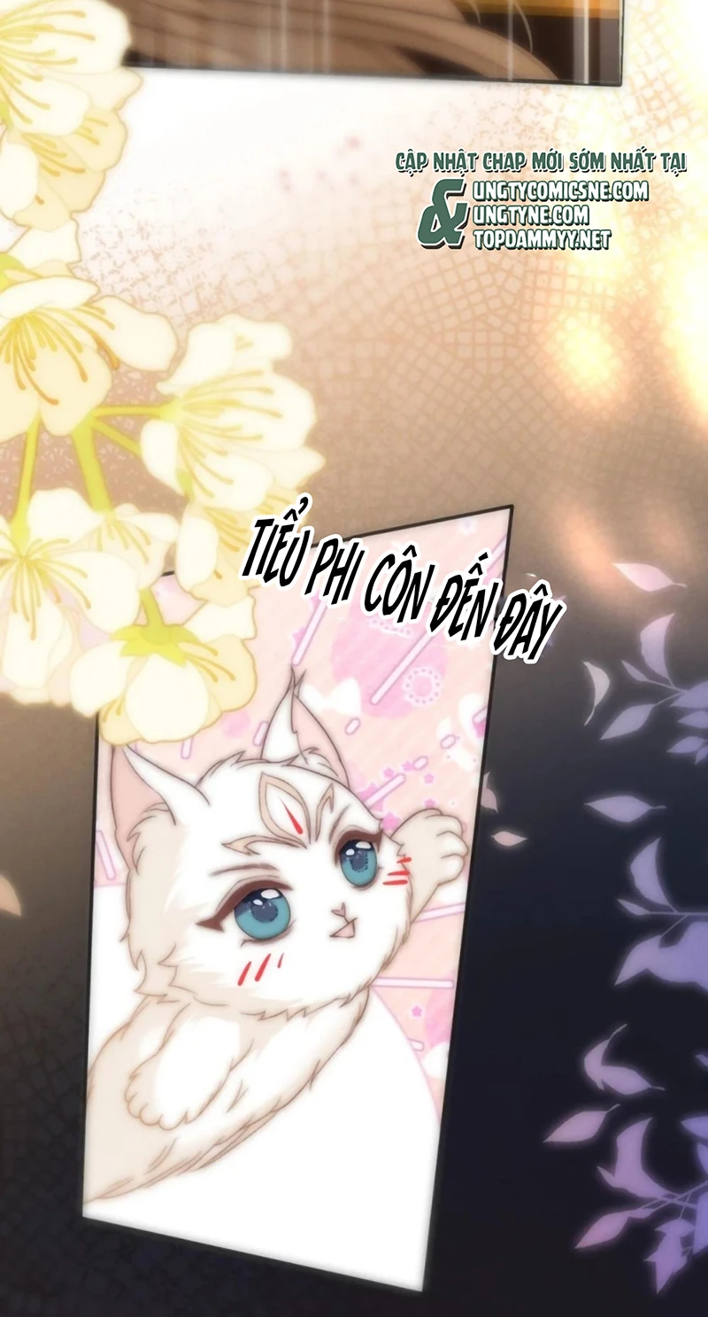 Chỉ Dẫn Săn Mồi Chapter 12 - 40