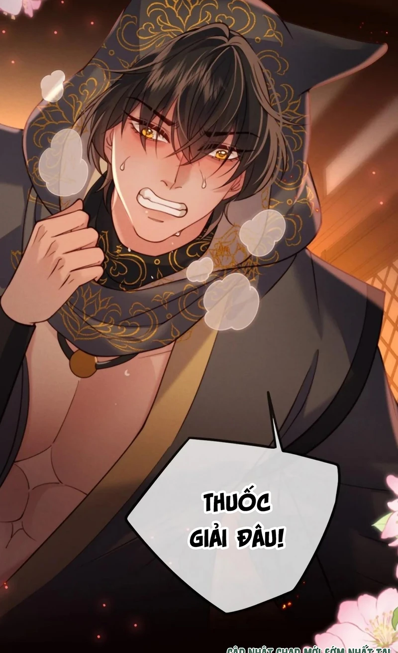 Chỉ Dẫn Săn Mồi Chapter 13 - 19