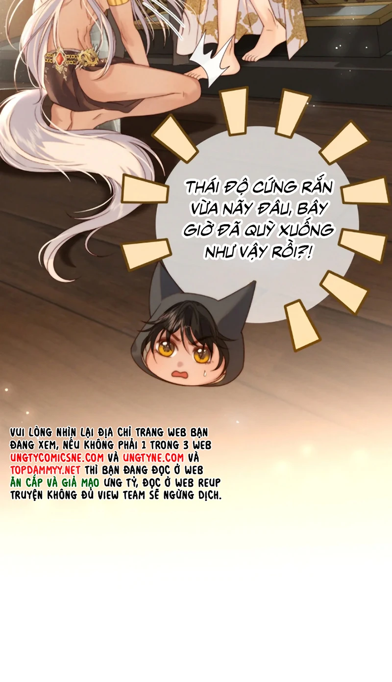 Chỉ Dẫn Săn Mồi Chapter 15 - 35