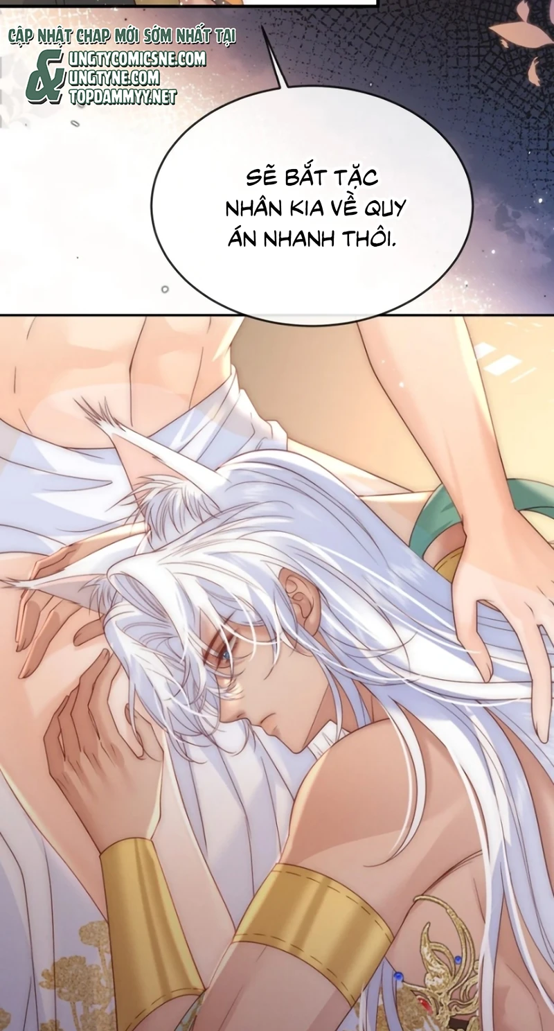 Chỉ Dẫn Săn Mồi Chapter 16 - 20