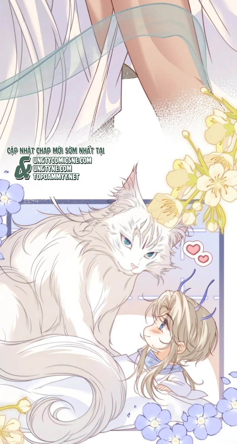 Chỉ Dẫn Săn Mồi Chapter 19 - 21