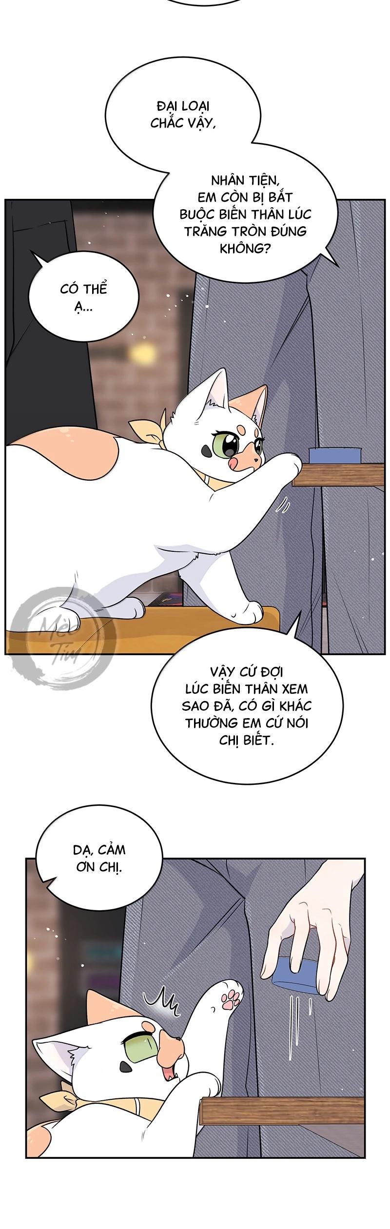 Đồ ăn của ta trông thật đáng yêu Chapter 193 - 14