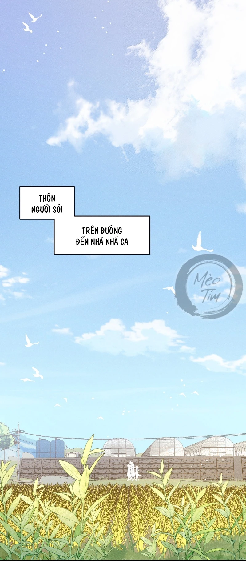 Đồ ăn của ta trông thật đáng yêu Chapter 211 - 3